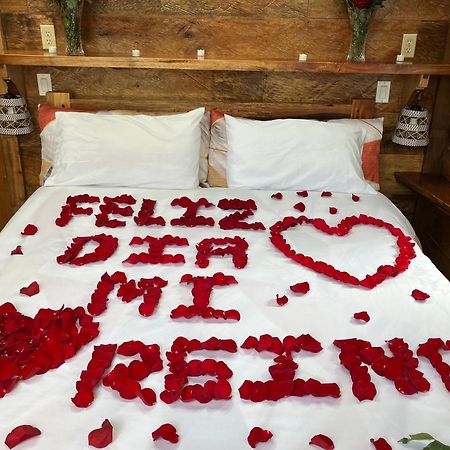 Casa Del Rio En Mindo Bed & Breakfast Ngoại thất bức ảnh
