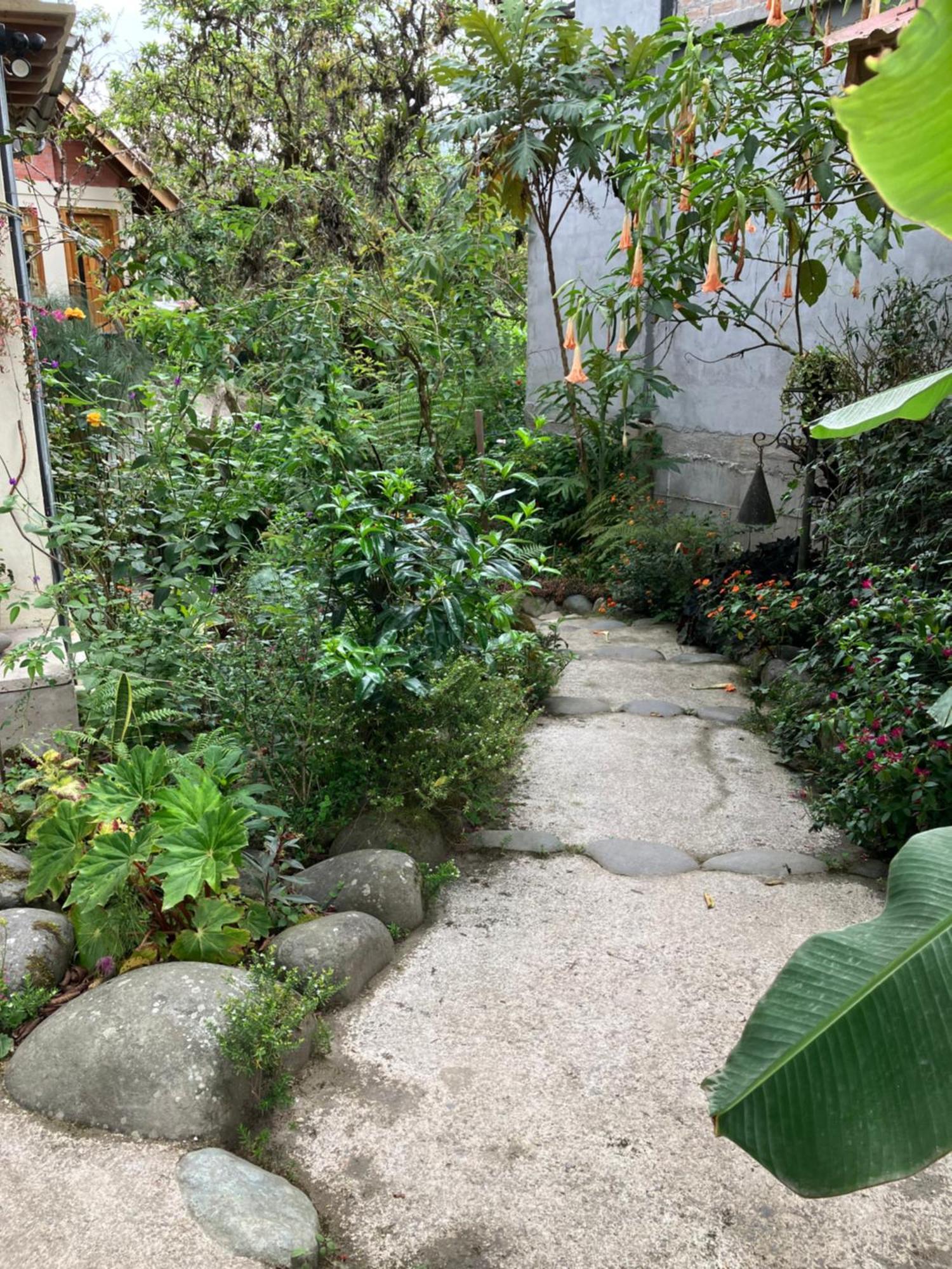 Casa Del Rio En Mindo Bed & Breakfast Ngoại thất bức ảnh
