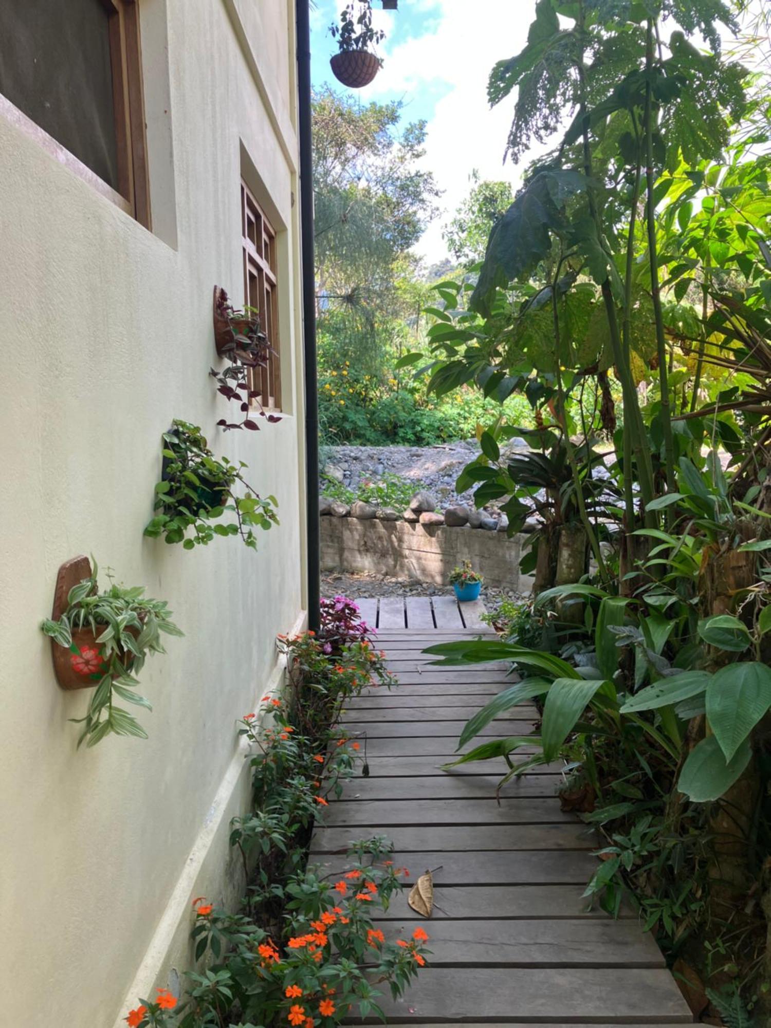 Casa Del Rio En Mindo Bed & Breakfast Ngoại thất bức ảnh