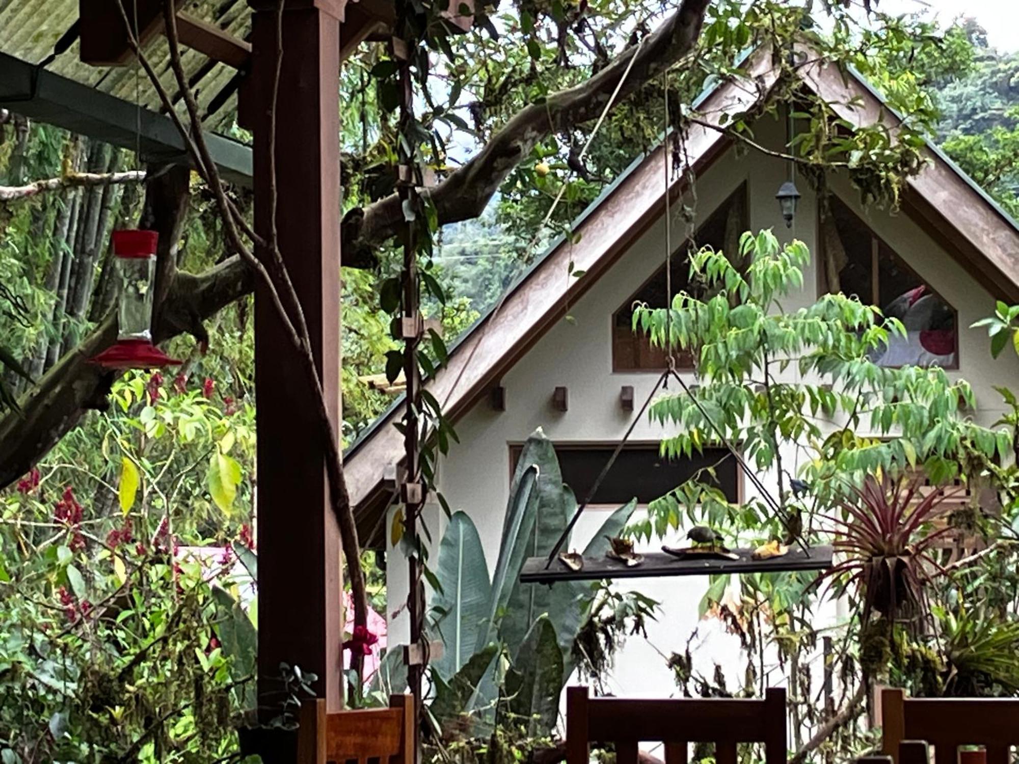 Casa Del Rio En Mindo Bed & Breakfast Ngoại thất bức ảnh