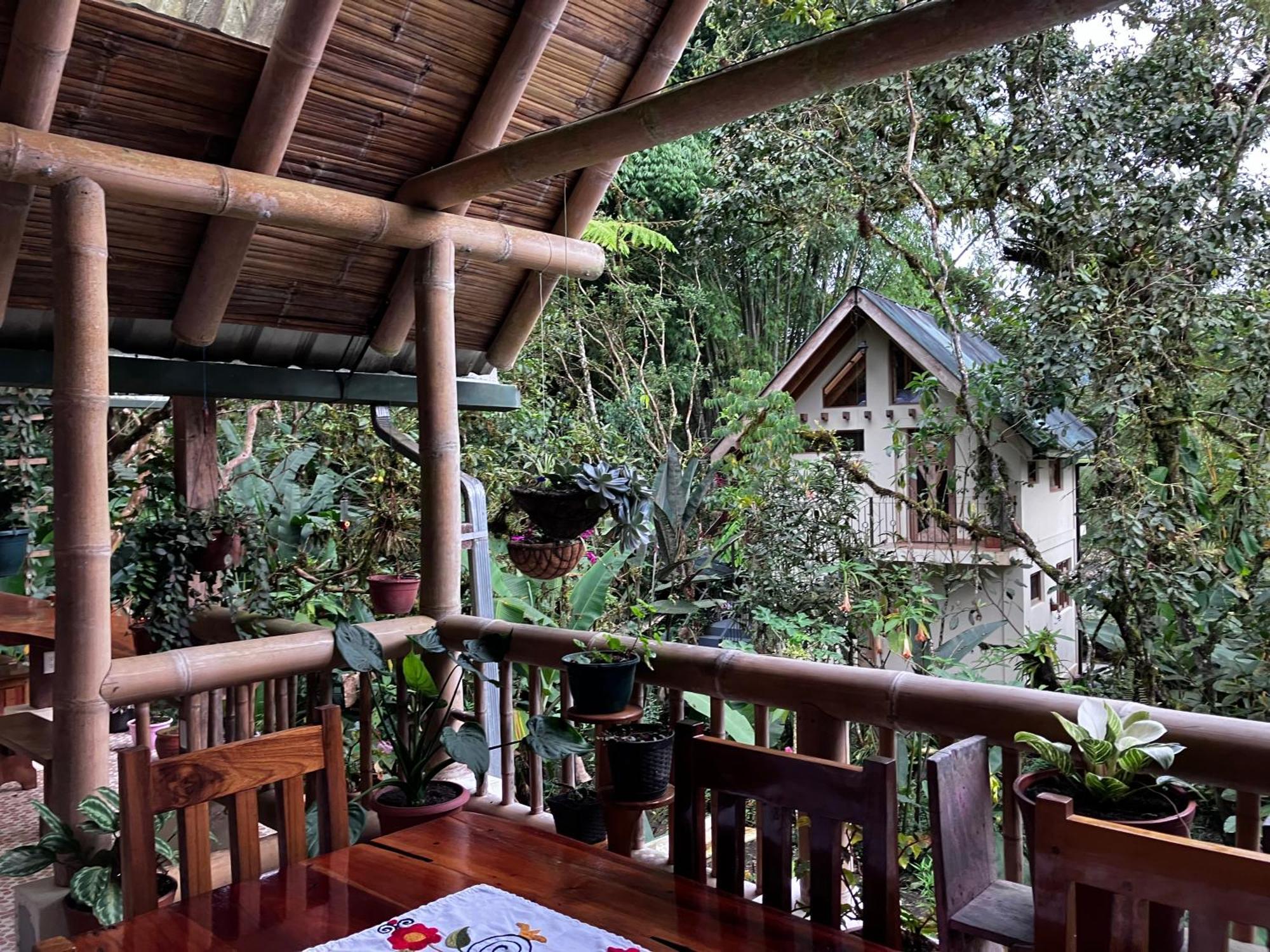 Casa Del Rio En Mindo Bed & Breakfast Ngoại thất bức ảnh