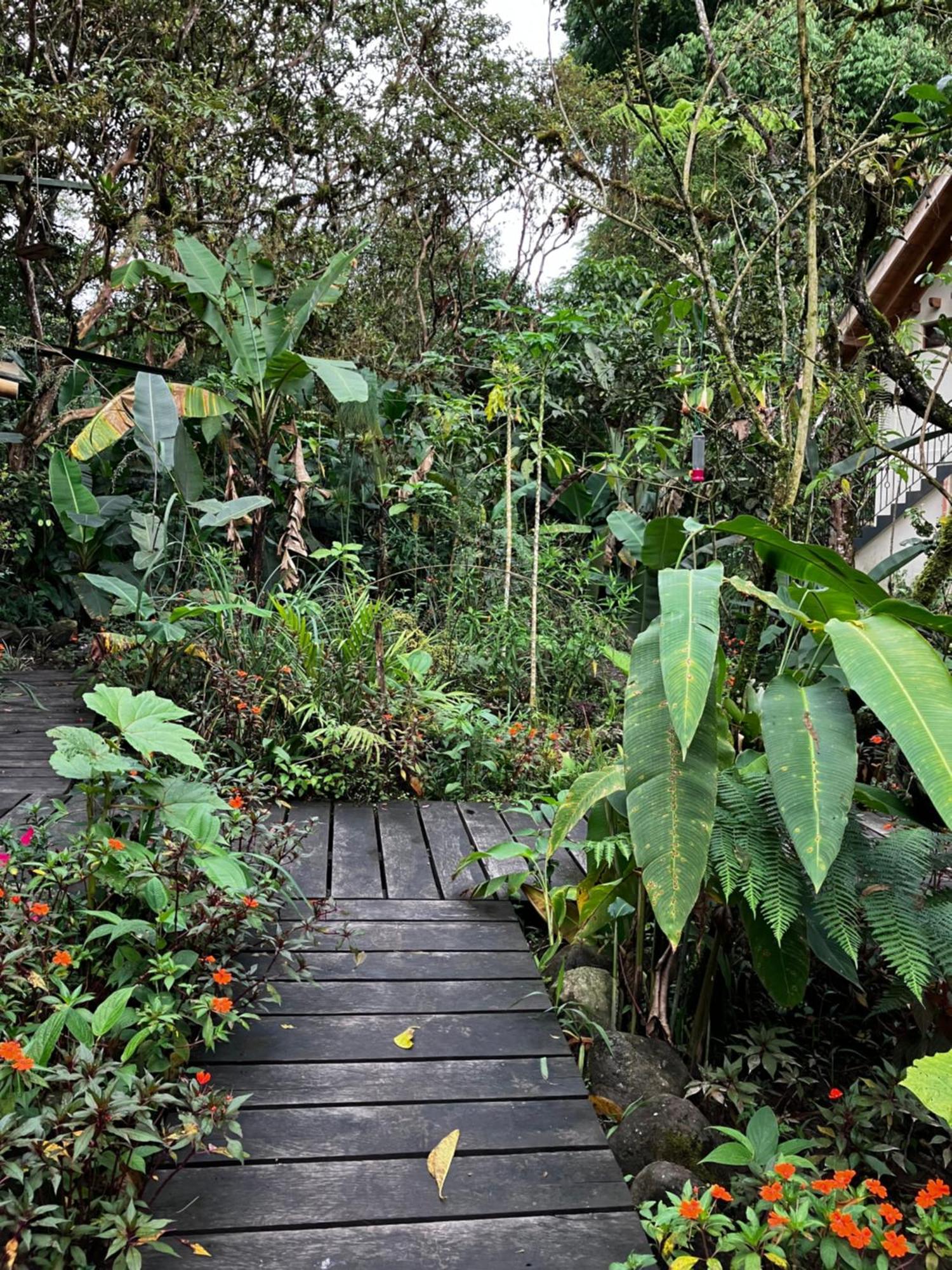 Casa Del Rio En Mindo Bed & Breakfast Ngoại thất bức ảnh