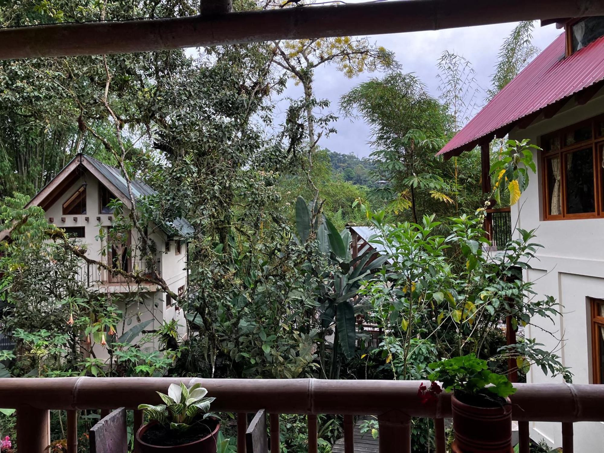 Casa Del Rio En Mindo Bed & Breakfast Ngoại thất bức ảnh