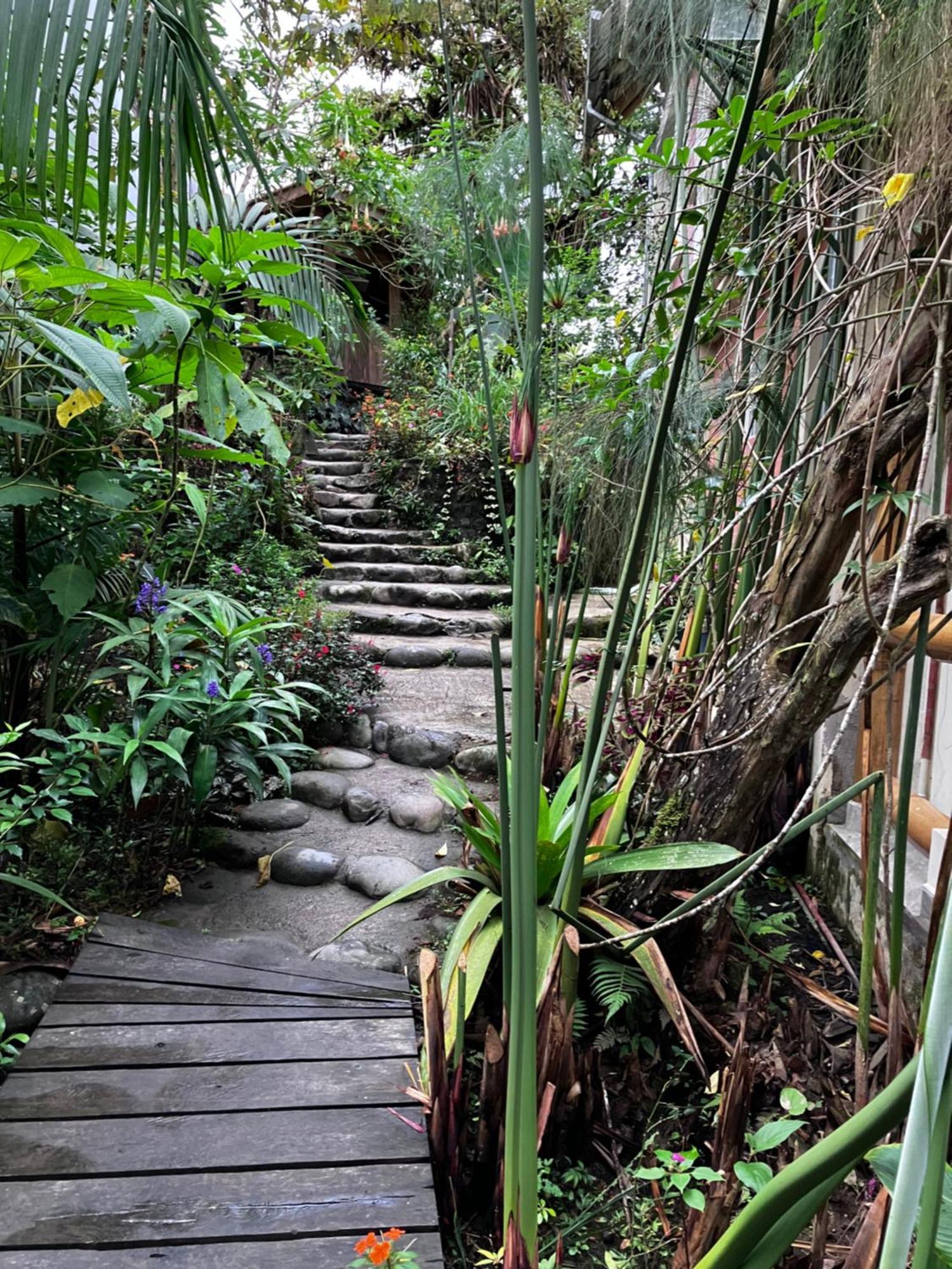 Casa Del Rio En Mindo Bed & Breakfast Ngoại thất bức ảnh