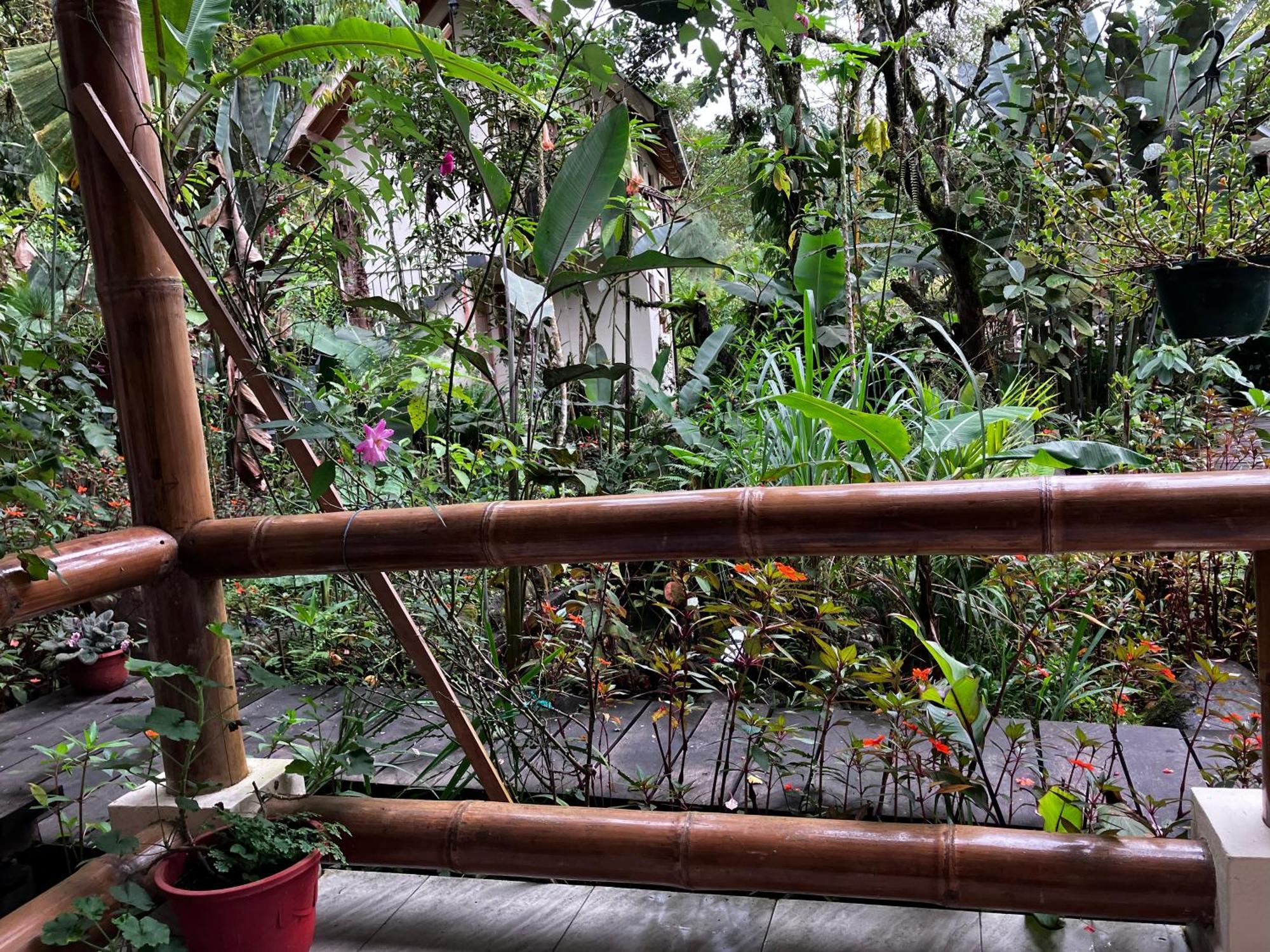 Casa Del Rio En Mindo Bed & Breakfast Ngoại thất bức ảnh