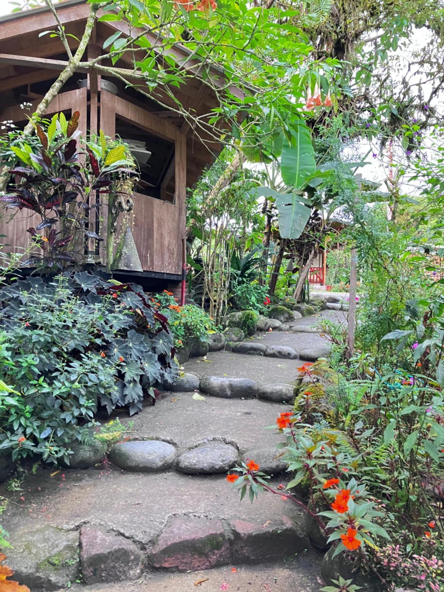 Casa Del Rio En Mindo Bed & Breakfast Ngoại thất bức ảnh
