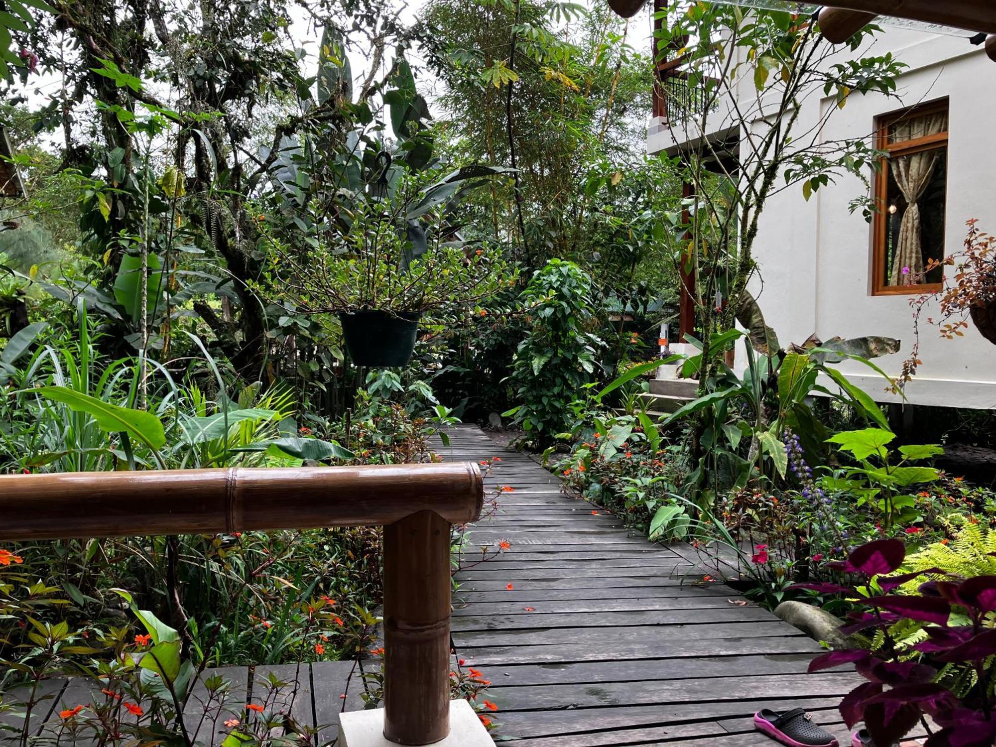 Casa Del Rio En Mindo Bed & Breakfast Ngoại thất bức ảnh