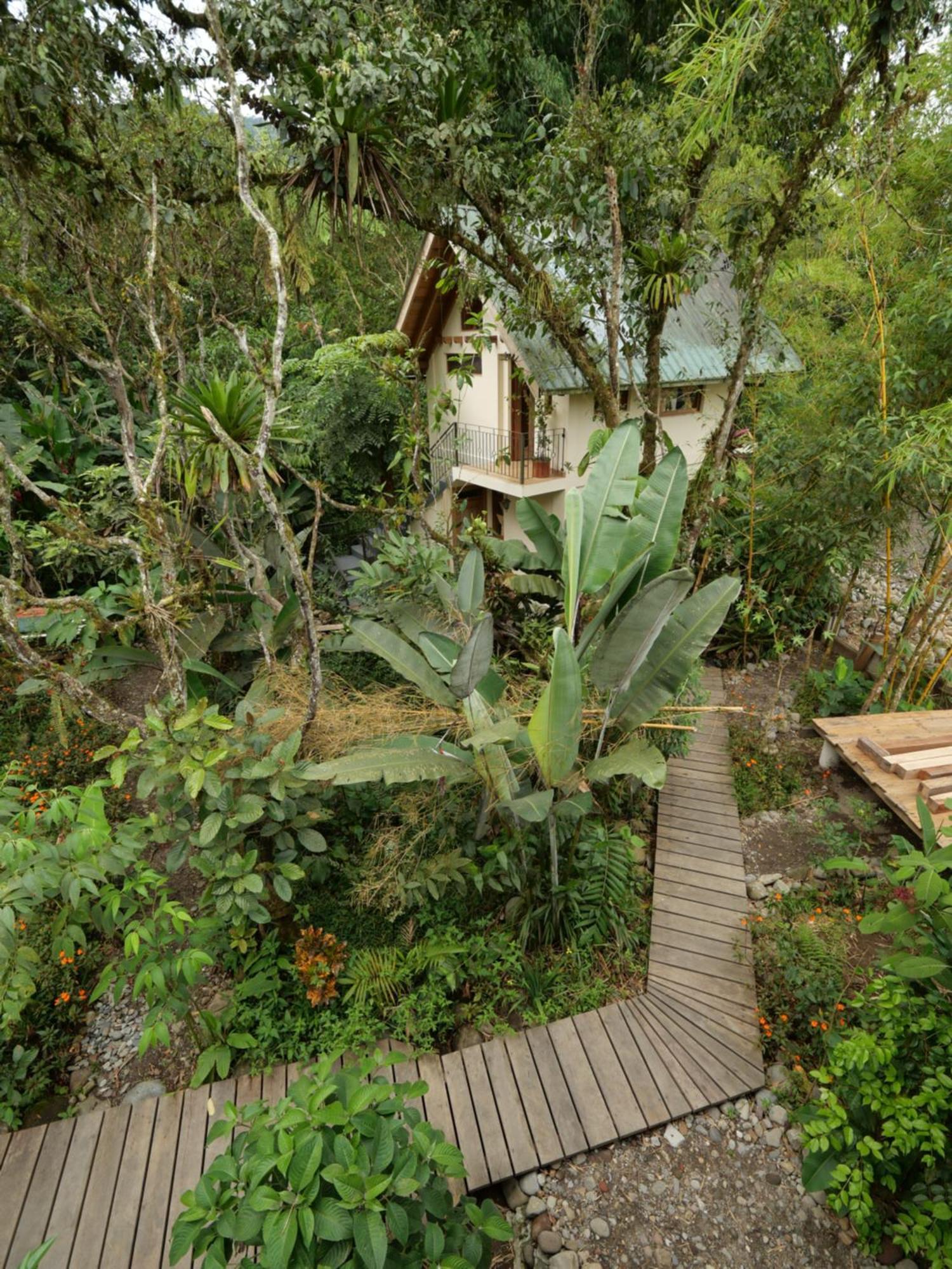 Casa Del Rio En Mindo Bed & Breakfast Ngoại thất bức ảnh