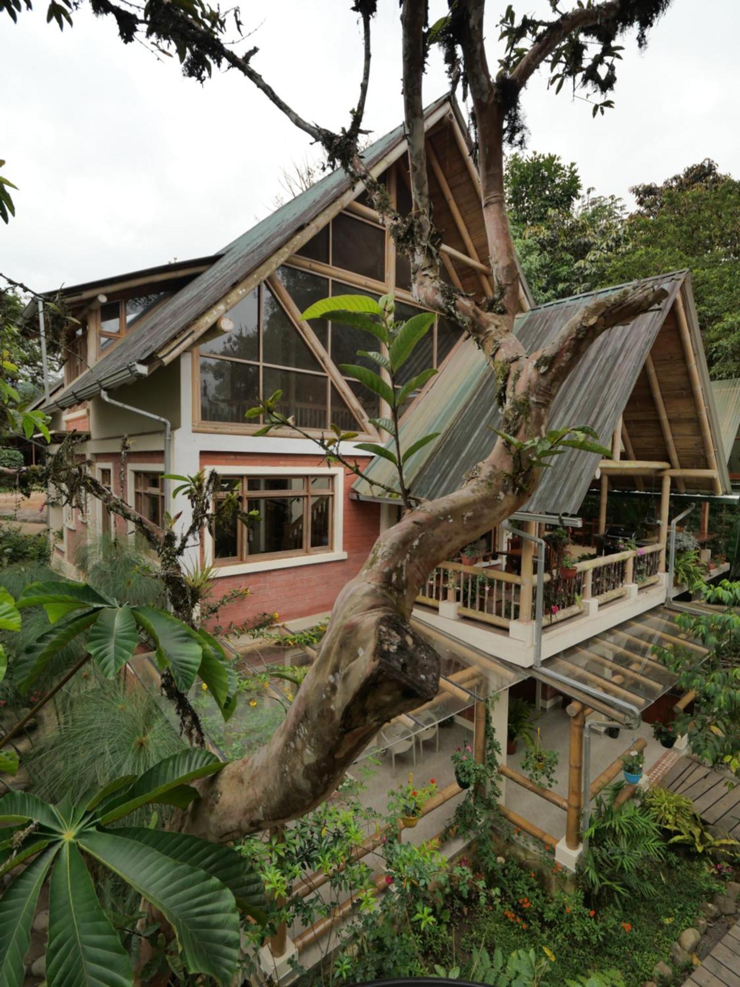 Casa Del Rio En Mindo Bed & Breakfast Ngoại thất bức ảnh