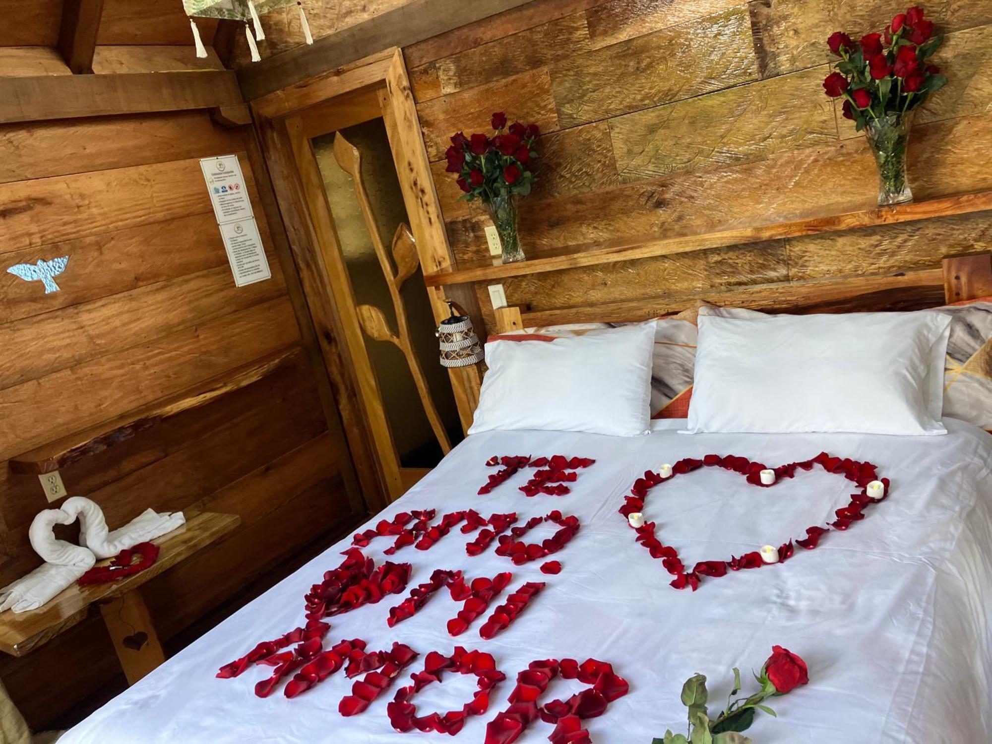 Casa Del Rio En Mindo Bed & Breakfast Ngoại thất bức ảnh